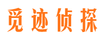 威信市调查公司